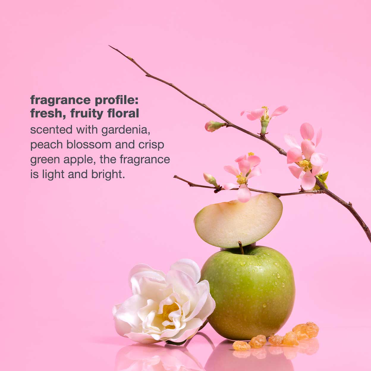 REF_P_6_incredible milk flower