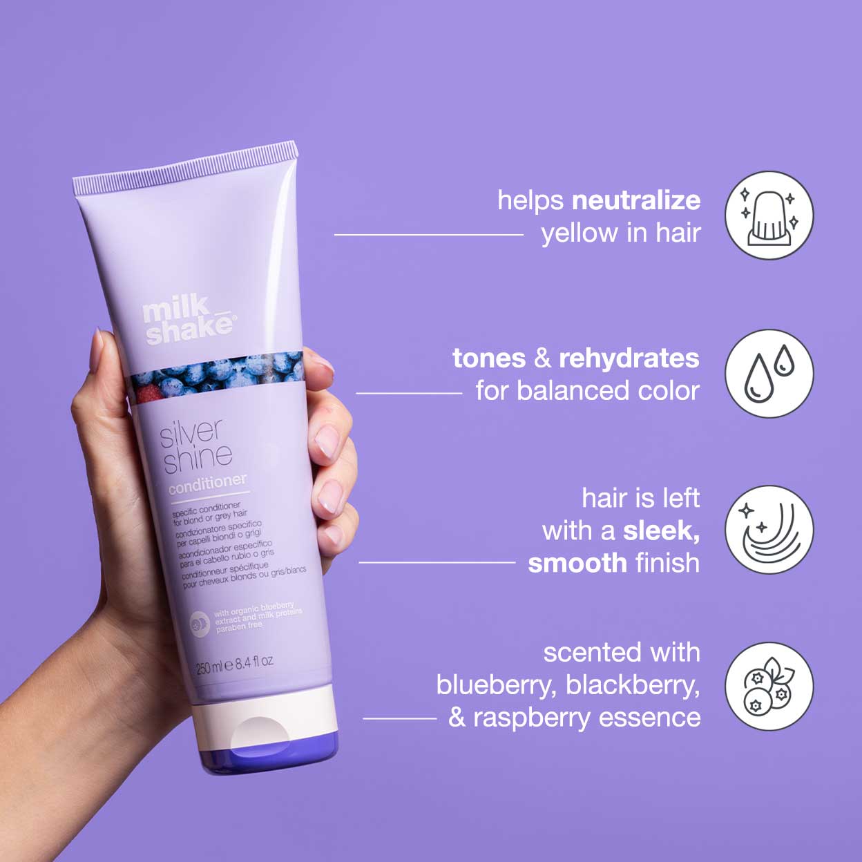 REF_P_3_silver shine conditioner | 1litre