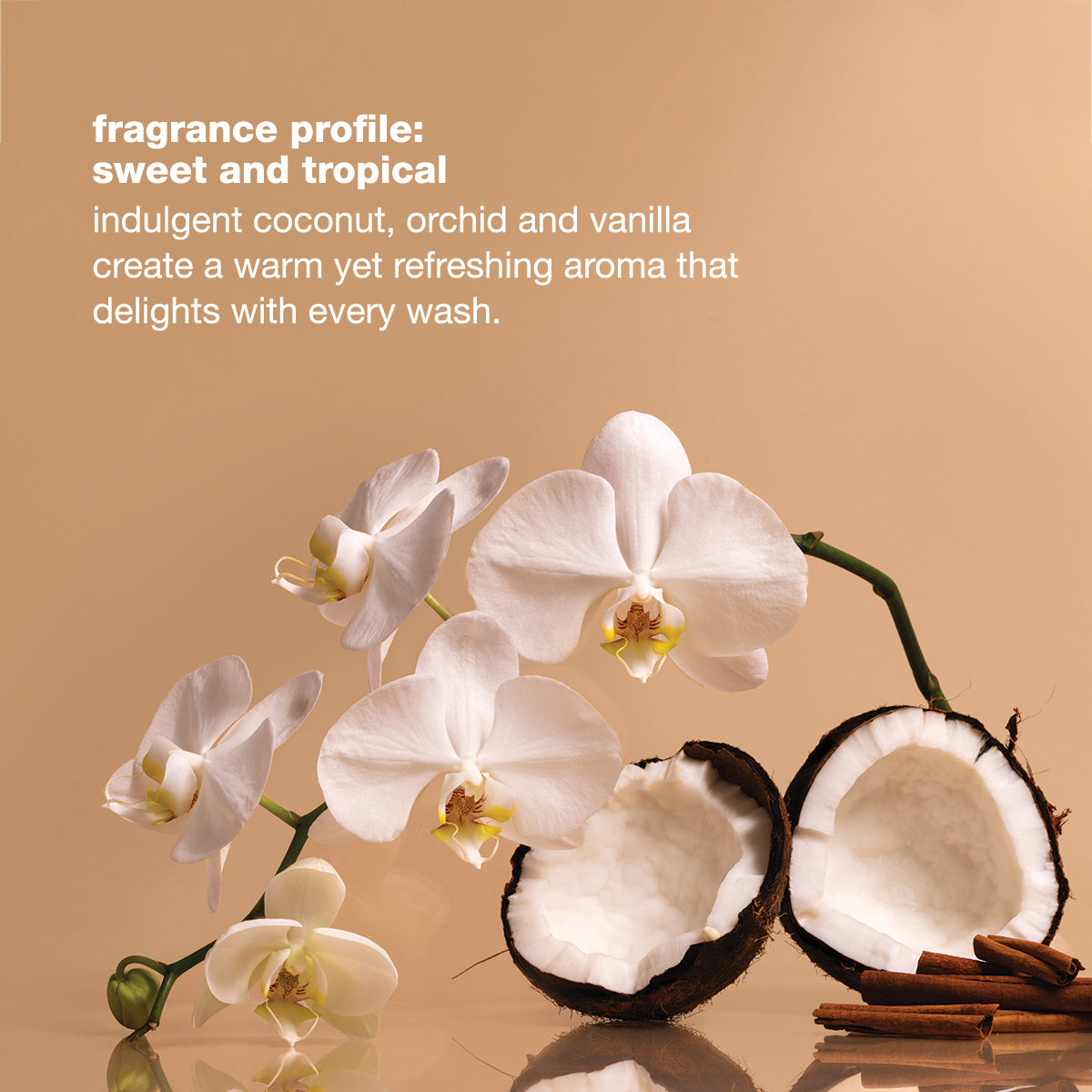 REF_P_9_the gift of strength & shine